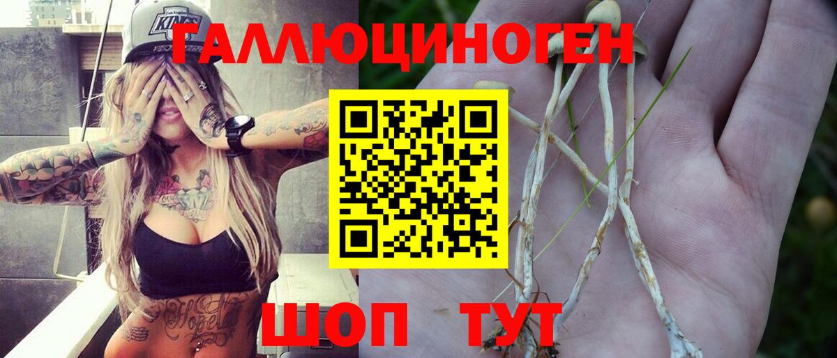 Галлюциногенные грибы мицелий  Псилоцибиновые грибы GOLDEN TEACHER  Топки  Вход с VPN 
