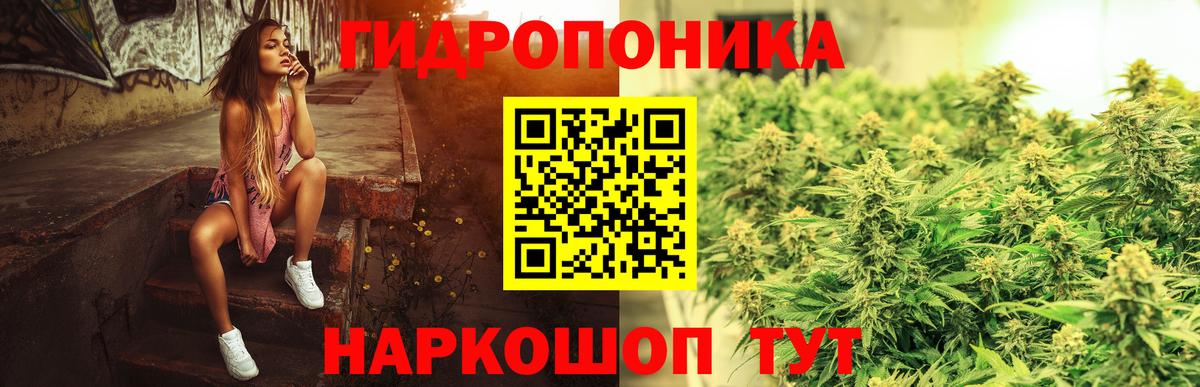 Канабис сатива Топки